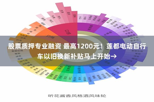 股票质押专业融资 最高1200元！莲都电动自行车以旧换新补贴马上开始→