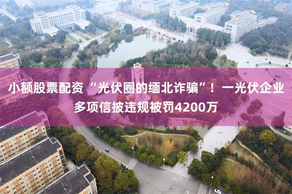小额股票配资 “光伏圈的缅北诈骗”！一光伏企业多项信披违规被
