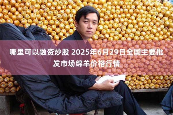 哪里可以融资炒股 2025年6月29日全国主要批发市场绵羊价