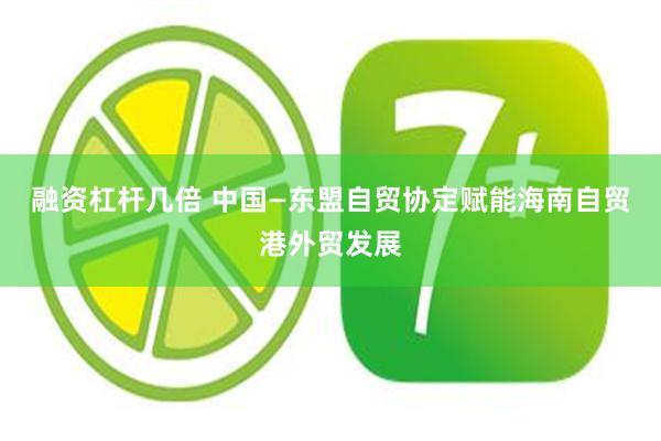 融资杠杆几倍 中国—东盟自贸协定赋能海南自贸港外贸发展