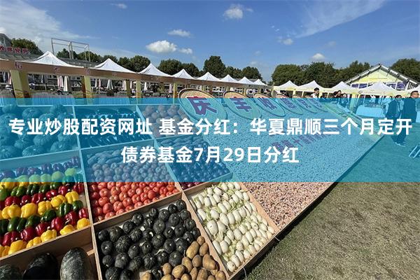 专业炒股配资网址 基金分红：华夏鼎顺三个月定开债券基金7月2