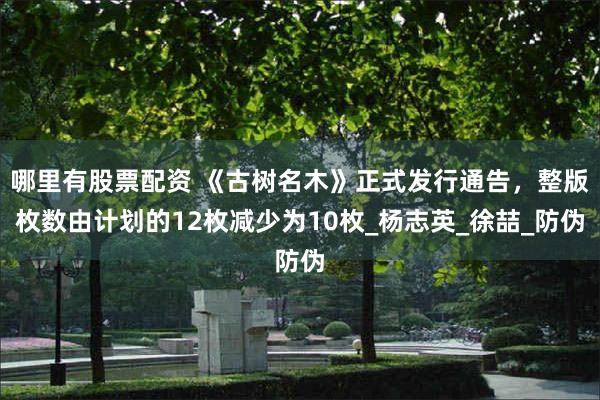哪里有股票配资 《古树名木》正式发行通告，整版枚数由计划的1