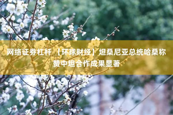 网络证劵杠杆 【环球财经】坦桑尼亚总统哈桑称赞中坦合作成果显