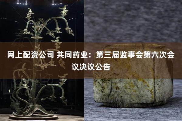 网上配资公司 共同药业：第三届监事会第六次会议决议公告