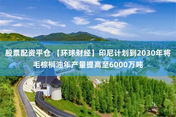 股票配资平仓 【环球财经】印尼计划到2030年将毛棕榈油年产